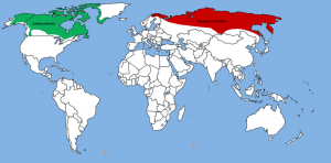 Map showing the current range of the reindeer.