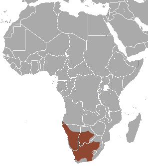 A map of Africa showing the range of the meerkat.
