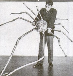 A man holding a large Japanese spider crab.