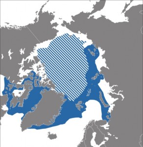 A map showing the distribution of the Narwhal.